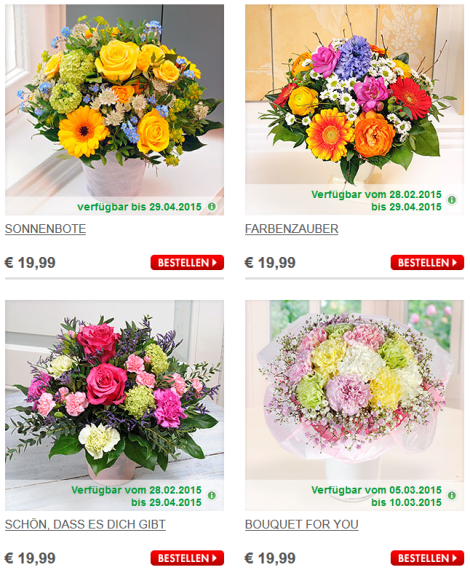 blume2000-angebot