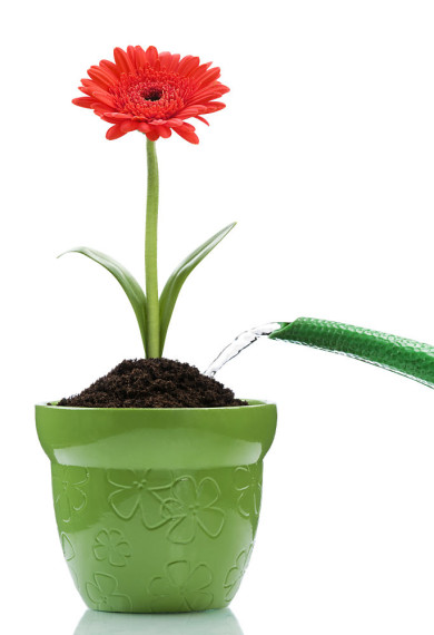 blumen-giessen
