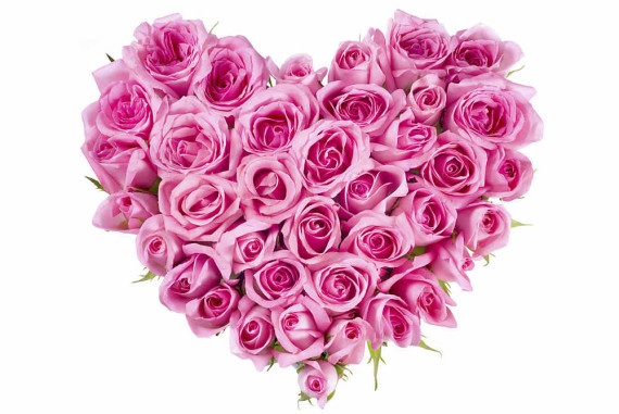 blumen-zum-valentinstag (2)