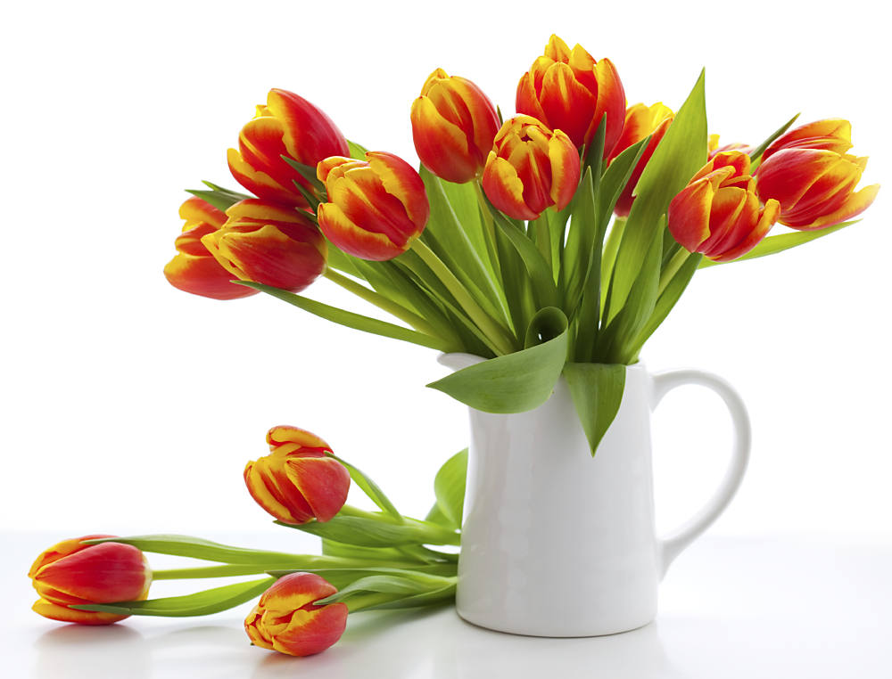 tulpen-in-blumenvase